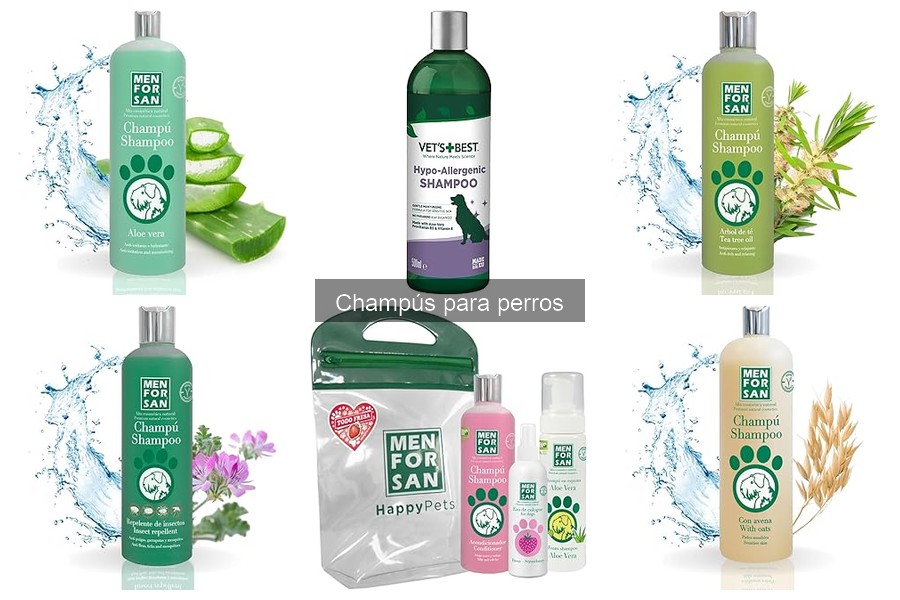 Champús antipulgas para perros: ¿realmente funcionan?