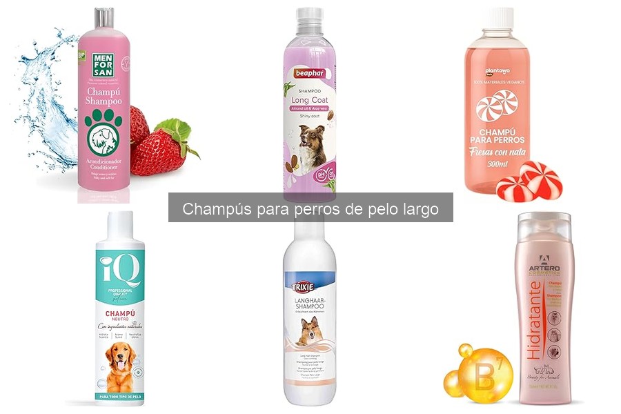 Champús hipoalergénicos para perros de pelo largo: soluciones