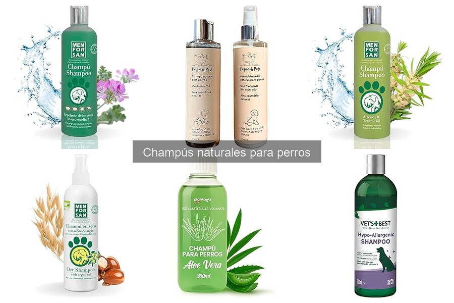 Champús naturales para perros: ¿realmente funcionan?