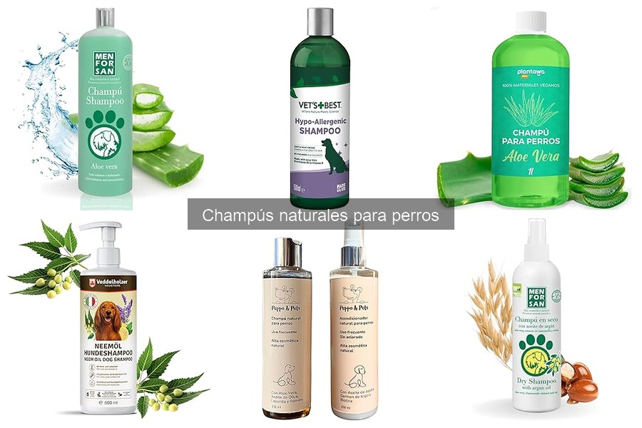 Champús naturales vs. comerciales: ¿cuál elegir para tu perro?