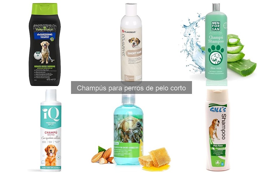 Champús para perros de pelo corto y pelo graso