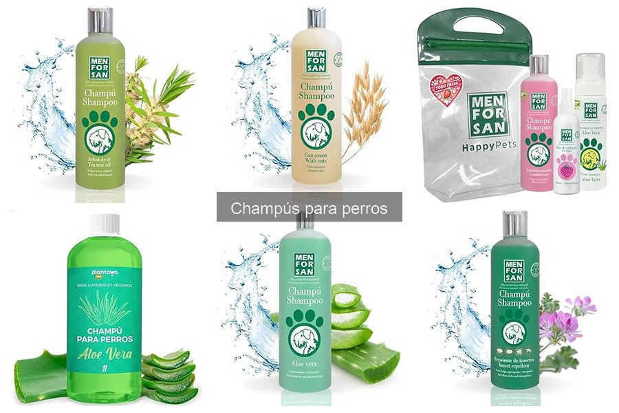 Champús para Perros: ¿Mejores para Pelo Largo o Corto?