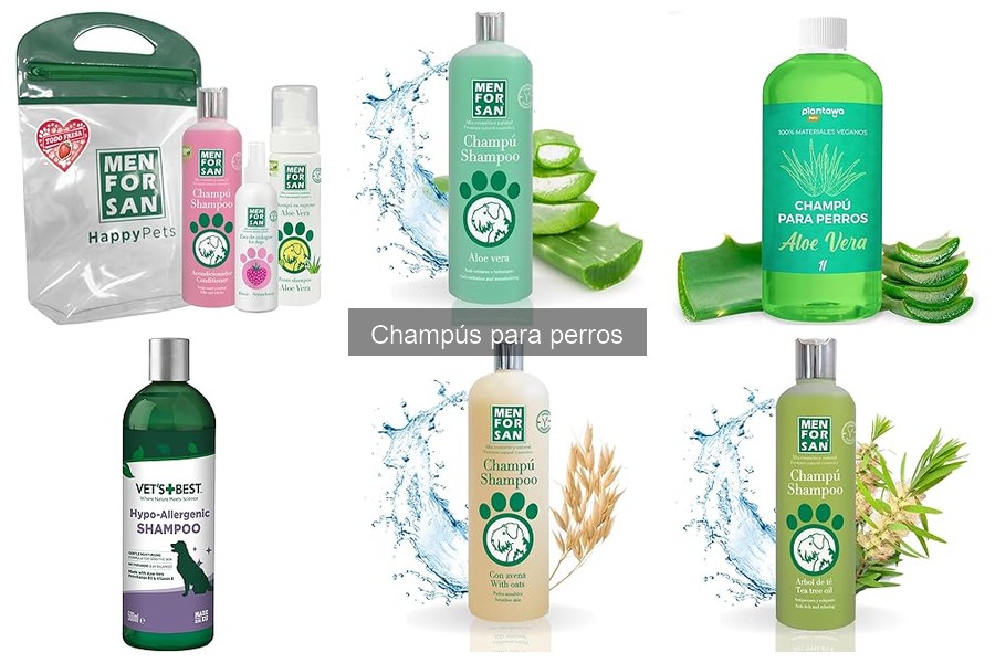 Champús para Razas de Perros: Cuidados Específicos