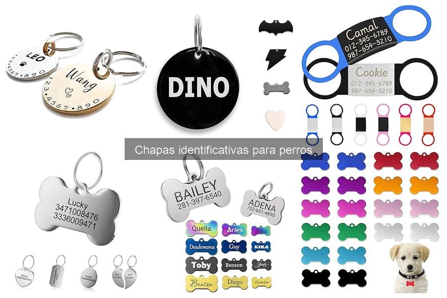 Chapas identificativas para perros en eventos y competiciones