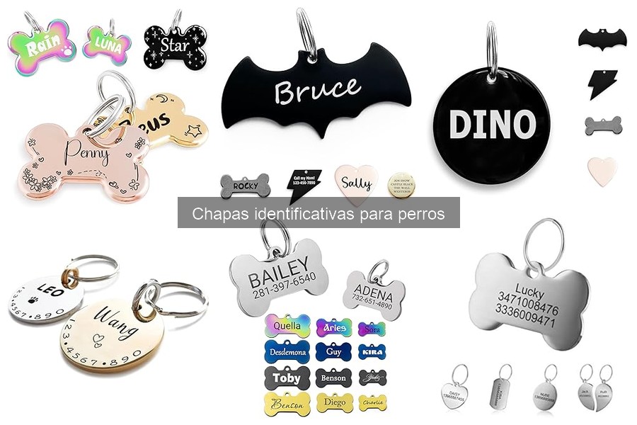 Chapas identificativas para perros: ¿son efectivas?