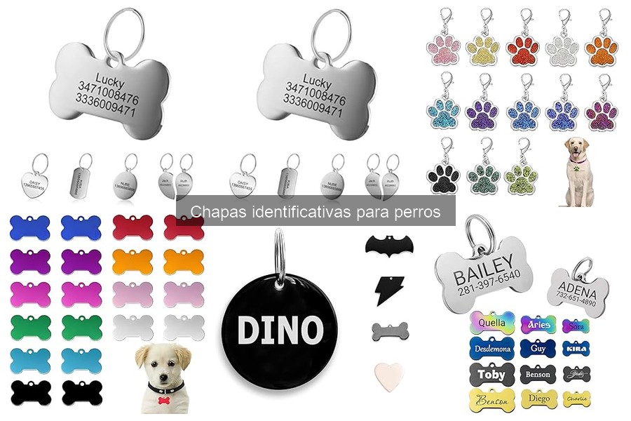Chapas identificativas vs. Microchips para perros: ¿Cuál elegir?