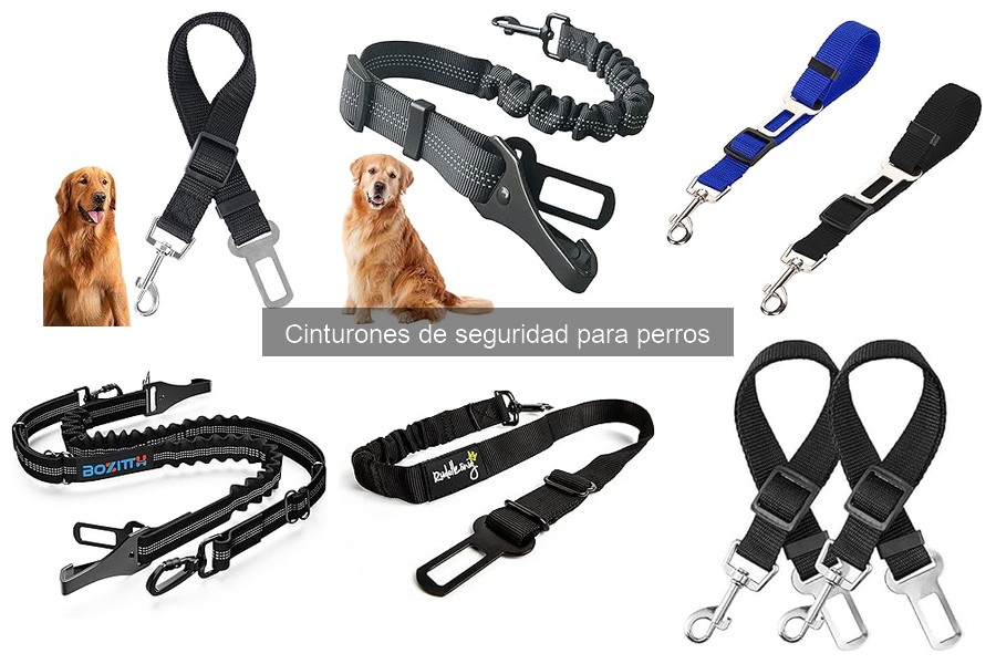 Cinturones de seguridad para perros: Funciones y beneficios