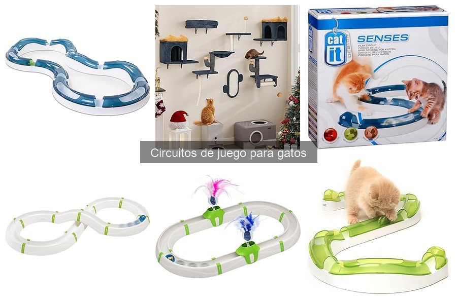Circuitos de juego para gatos: ¿son seguros para tu felino?