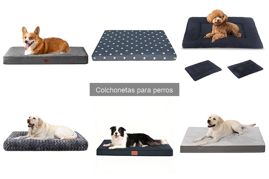 Colchonetas para perros que son juguetes: ¡Diversión y comodidad!