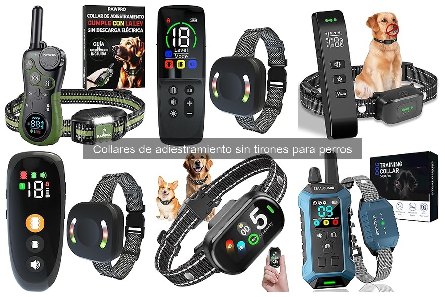 Collares de adiestramiento sin tirones para perros: ¿Qué son?