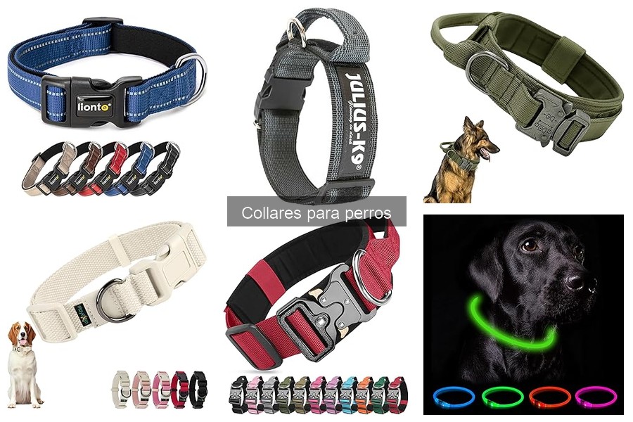 ** Collares seguros para perros pequeños: ¡las mejores opciones!