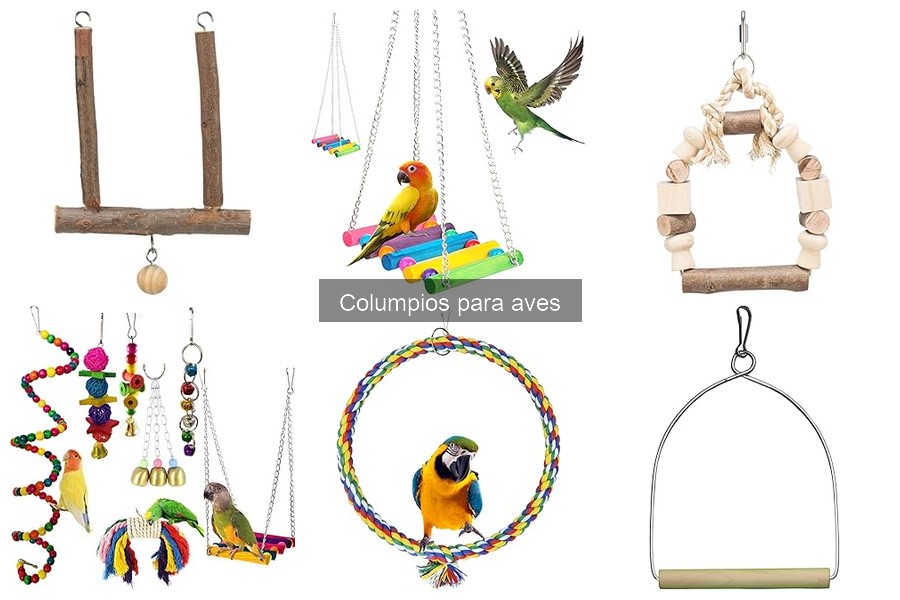 Columpios para aves: ¿pequeños o grandes? Comparativa