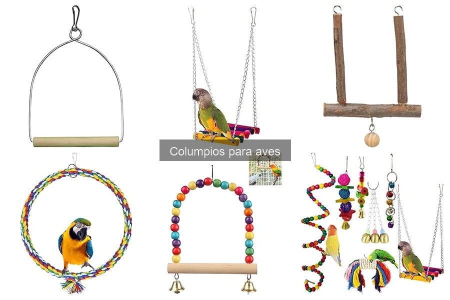 Columpios para Aves: ¿Qué Son y Para Qué Sirven?