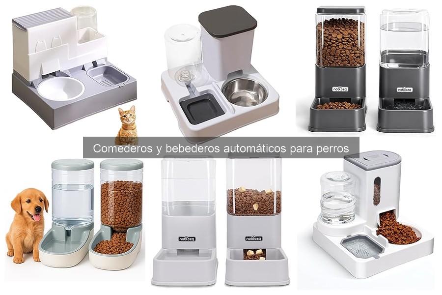 Comederos automáticos para perros con dietas especiales