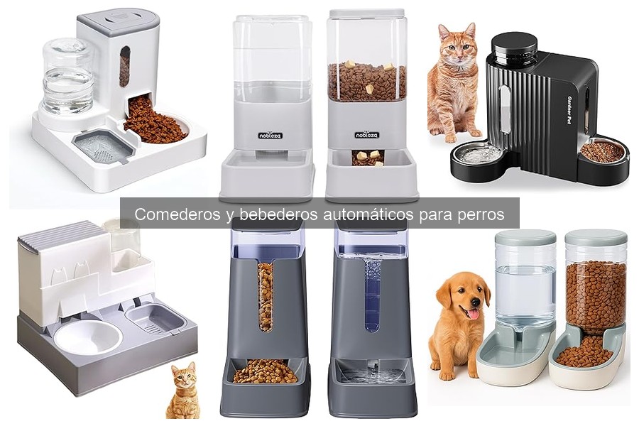 Comederos automáticos para perros: ¿Son seguros?