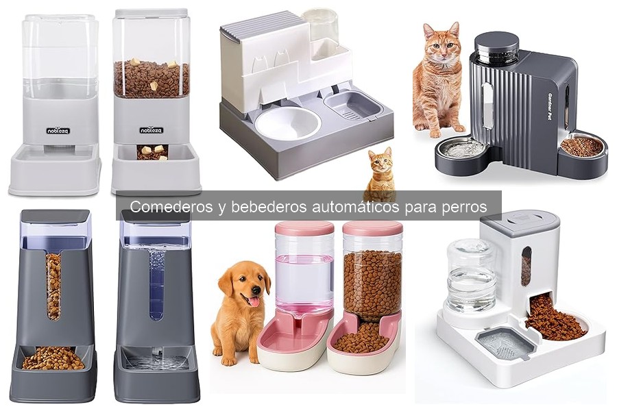 Comederos Automáticos Programables vs. de Gravedad: ¿Cuál Elegir?