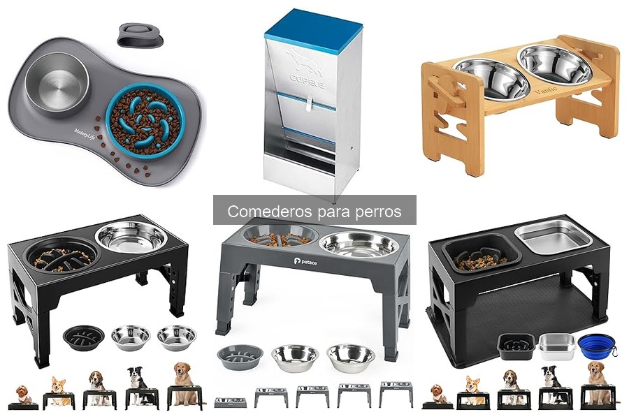 Comederos para perros con problemas de alimentación: Soluciones