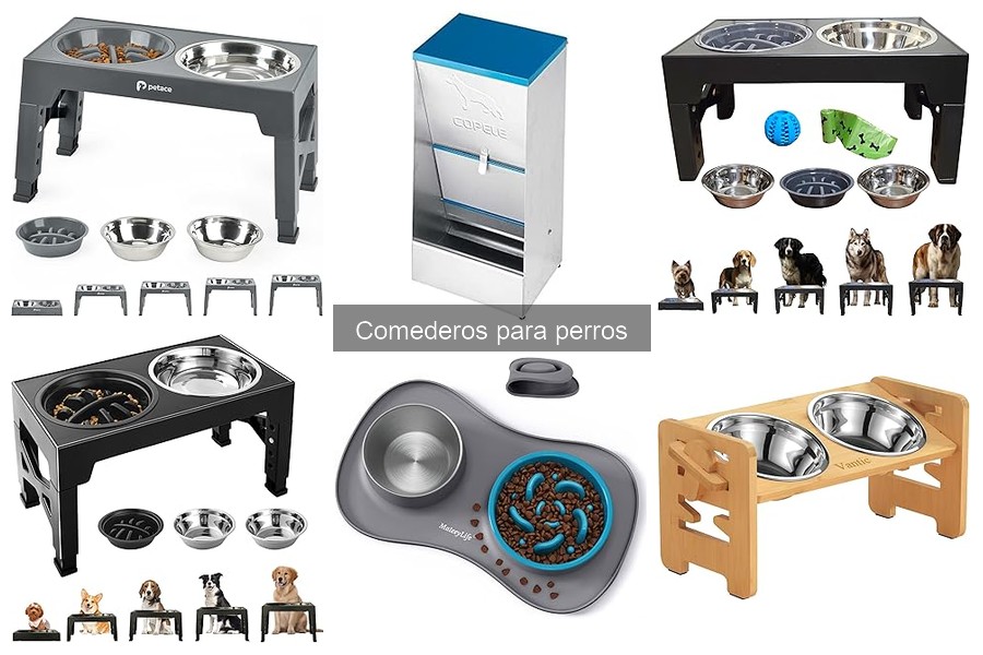 Comederos para perros: ¿Dónde comprarlos a buen precio?