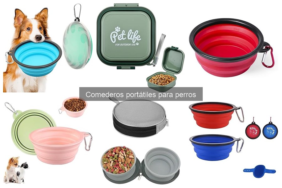 Comederos portátiles para perros viajeros: características clave