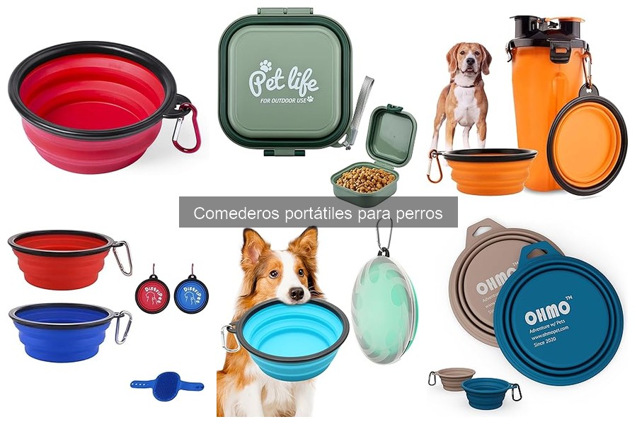 Comederos portátiles vs fijos para perros: ¿cuál elegir?
