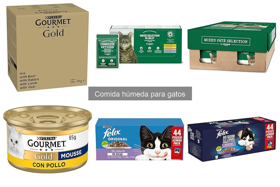 Comida húmeda para gatos con alergias: las mejores opciones