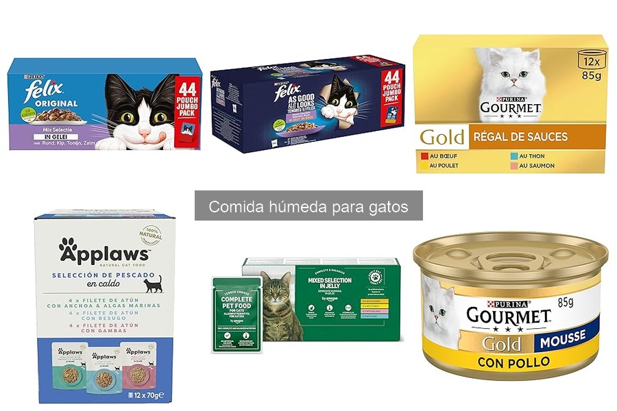 Comida húmeda para gatos mayores: ¿es la mejor opción?