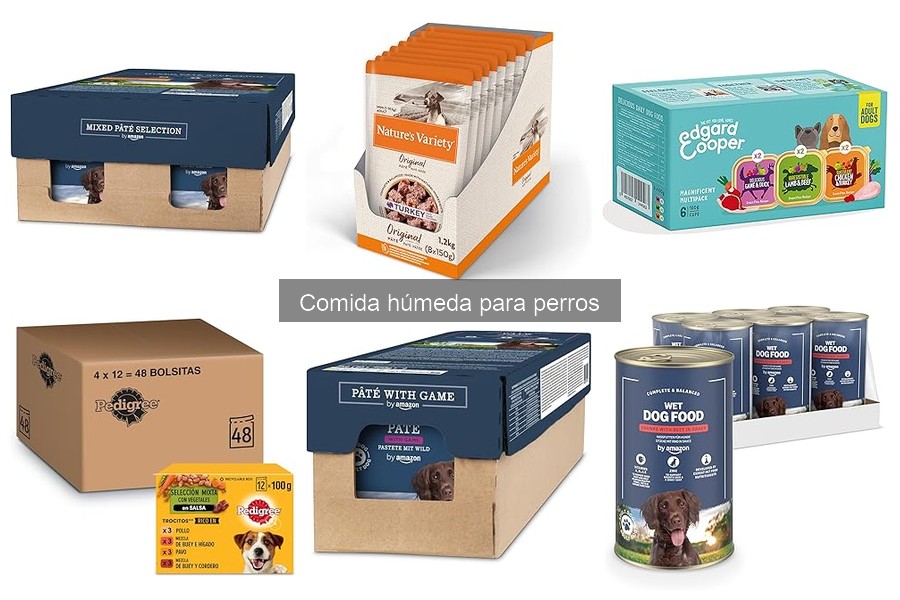 Comida húmeda para perros con alergias: Mejores opciones