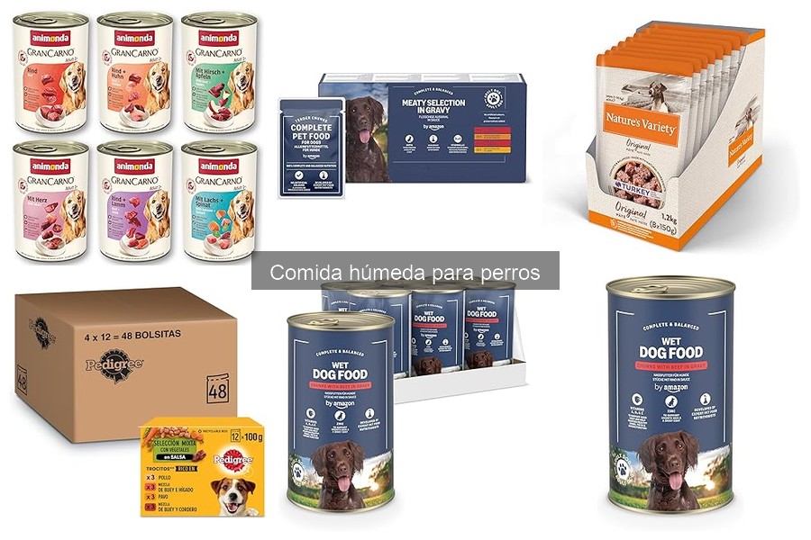 Comida húmeda para perros: Lata o sobre, ¿cuál elegir?