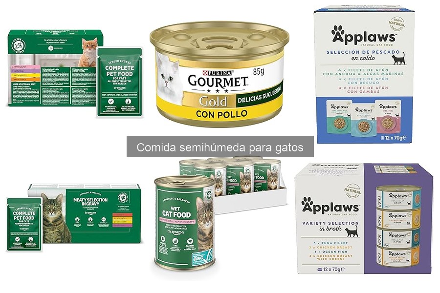 Comida semihúmeda para gatos: dónde comprar al mejor precio