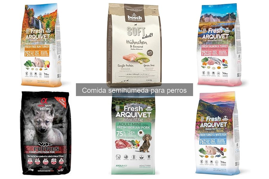 Comida semihúmeda para perros con alergias: ¿es adecuada?