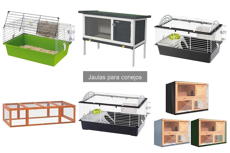 Cómo adaptar jaulas para conejos a sus necesidades