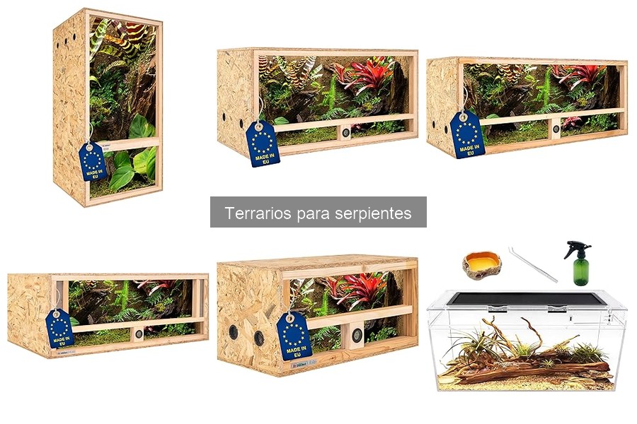 Cómo adaptar tu terrario para diferentes especies de serpientes