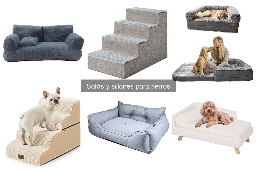 Cómo adaptar un sofá para perros ancianos: guía práctica