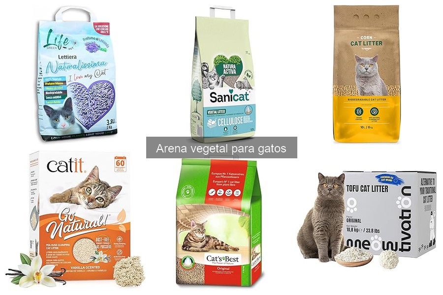 ¿Cómo afecta la arena vegetal a la salud del gato?