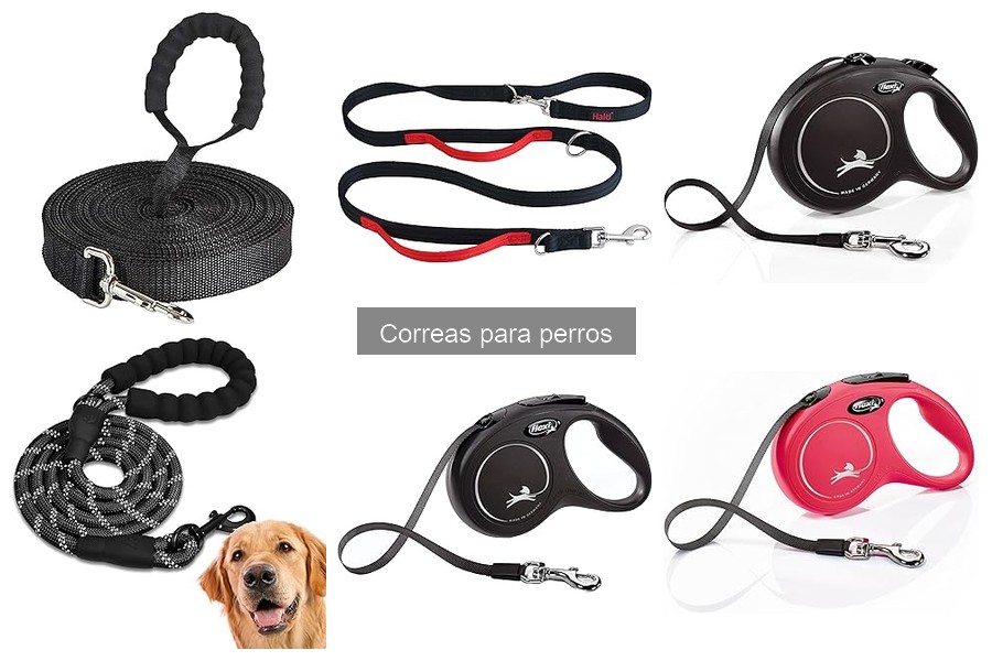 Cómo Ajustar la Correa de tu Perro para Mayor Comodidad