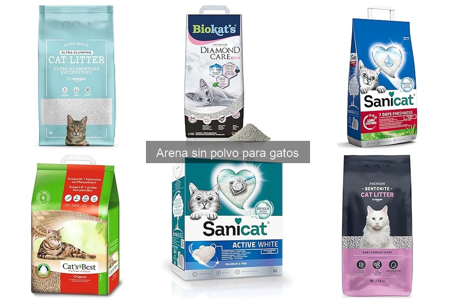 Cómo almacenar arena sin polvo para gatos de forma eficaz