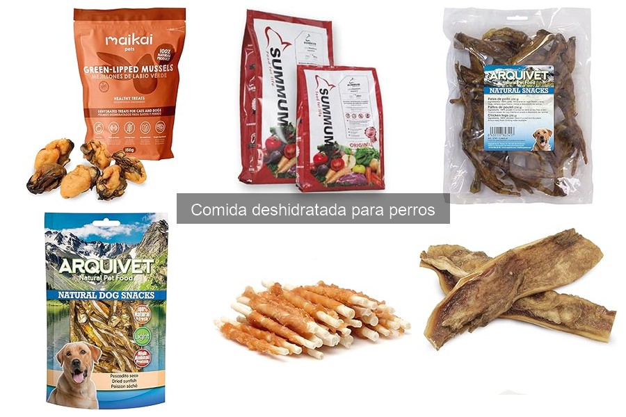 Cómo almacenar comida deshidratada para perros correctamente