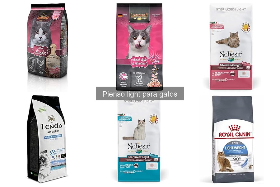 Cómo almacenar correctamente el pienso light para gatos