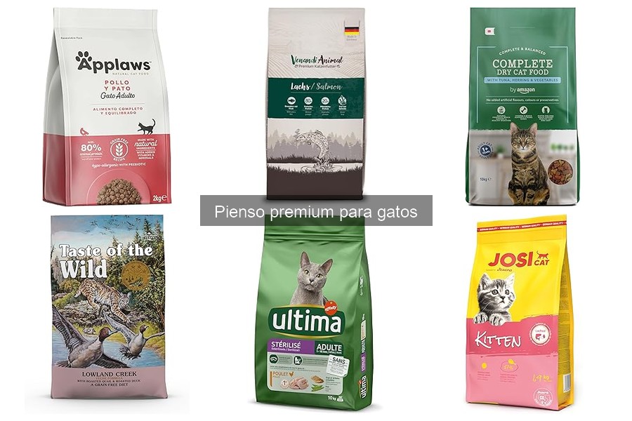 Cómo almacenar el pienso premium para gatos de forma adecuada