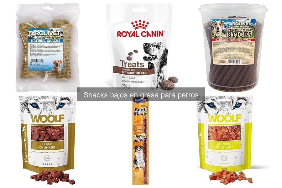 Cómo almacenar snacks bajos en grasa para perros correctamente
