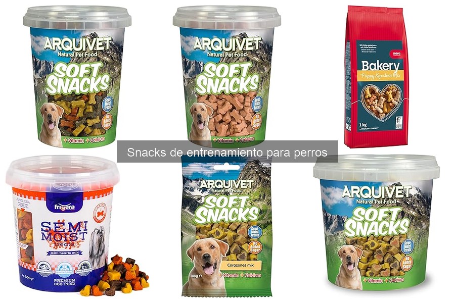 Cómo almacenar snacks de entrenamiento para perros correctamente