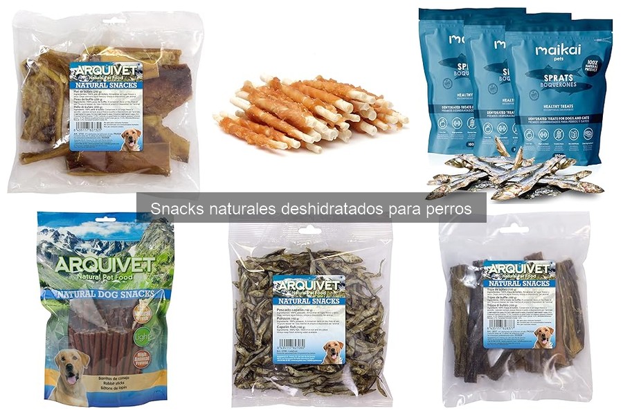 Cómo almacenar snacks deshidratados para perros correctamente