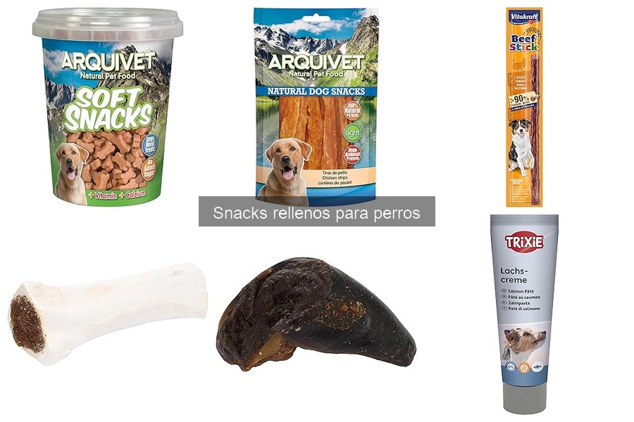 Cómo almacenar snacks rellenos para perros correctamente