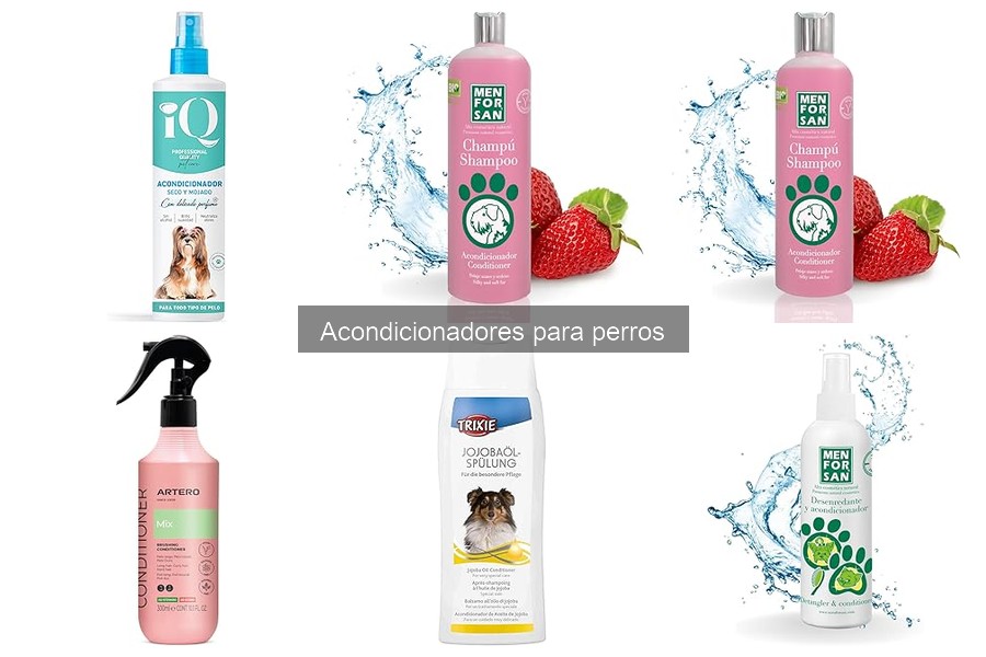 Cómo aplicar acondicionador a tu perro: consejos prácticos