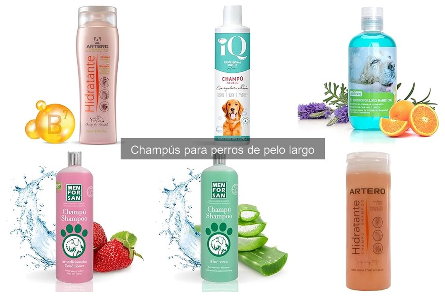 Cómo Aplicar Champú en Perros de Pelo Largo Eficazmente