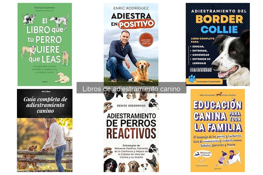 Cómo Aplicar Consejos de Libros de Adiestramiento Canino
