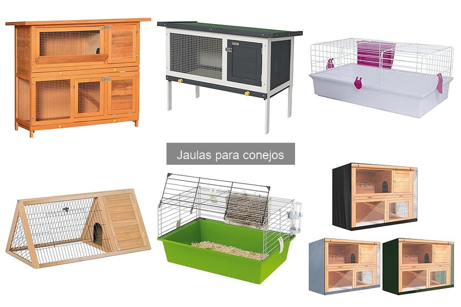 Cómo ayudar a tu conejo a adaptarse a su nueva jaula