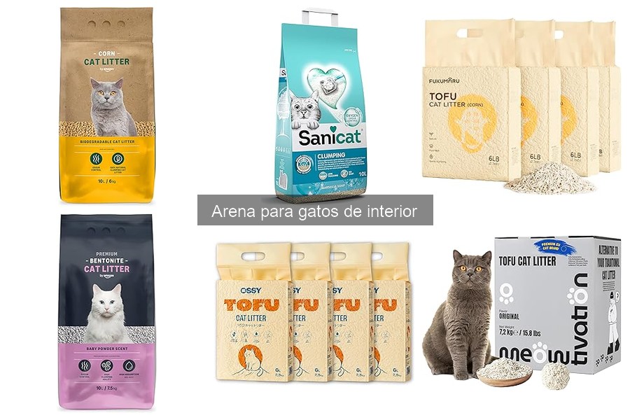 Cómo cambiar de marca de arena para gatos sin estrés