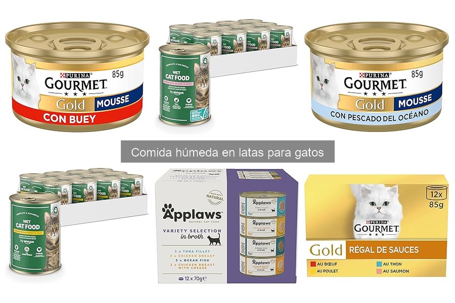 Cómo conservar comida húmeda enlatada para gatos correctamente