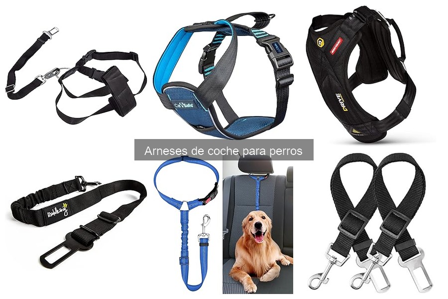 Cómo cuidar el arnés de coche para perros correctamente